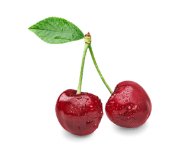 f2